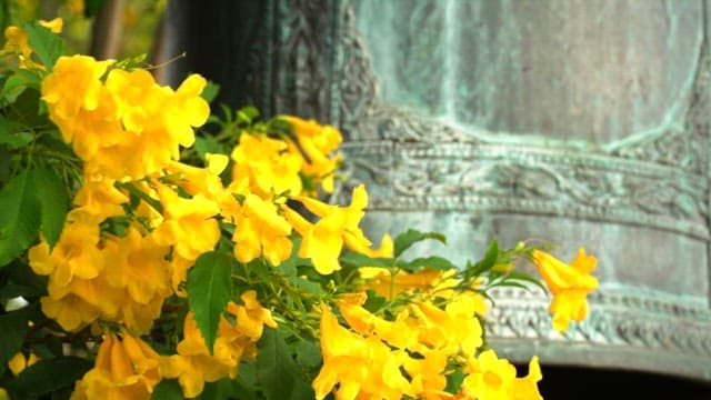 Yellow flowers bloom in front of a decorated bell