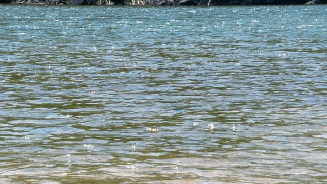 Clear water shining in the midday sunlight