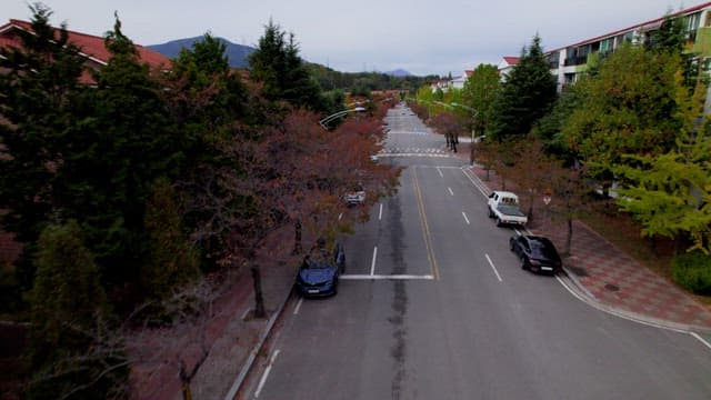 Tranquil Urban Road and Residential Area