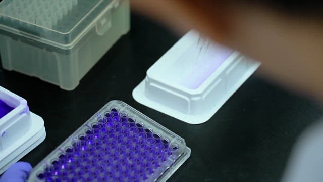 Pipetting liquid into a microplate