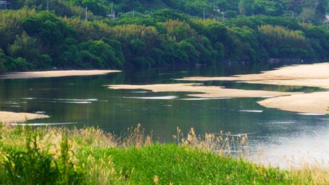 Calm river winding through lush green bush
