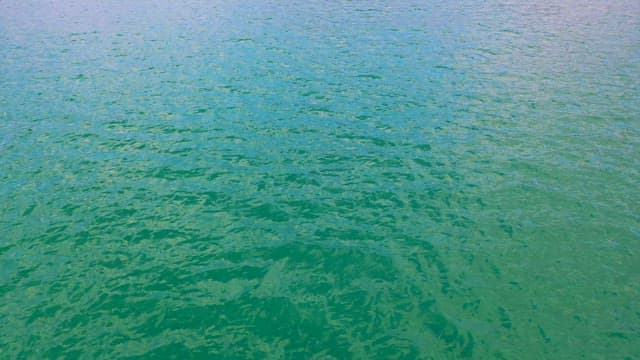 Serene Seaside with Clear Waters and Distant Mountains