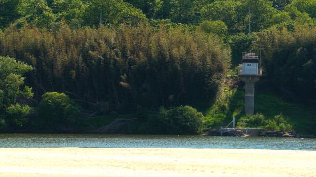 River and lush greenery bathed in midday sunlight