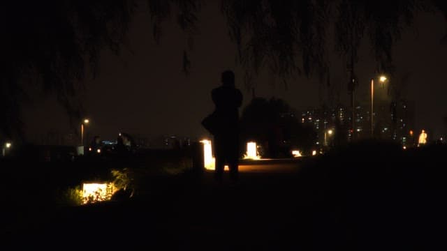 Nighttime stroll in the city park with lights