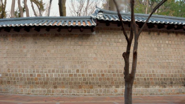 People walking by a traditional Korean wall