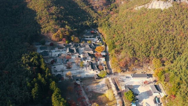 Temple surrounded by maple trees