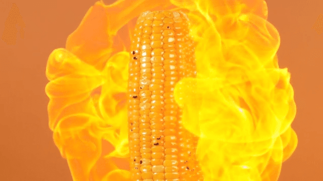 Corn being roasted with flames
