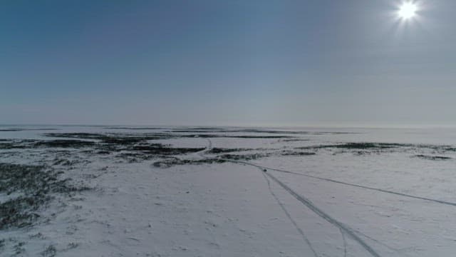 Vast Snowy Tundra Under Bright Sun