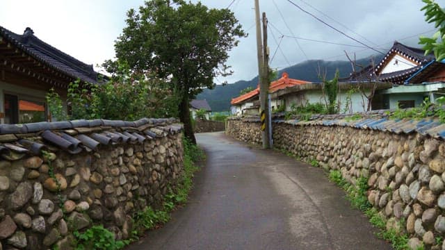 Winding stone road surrounded by traditional houses in a rural village