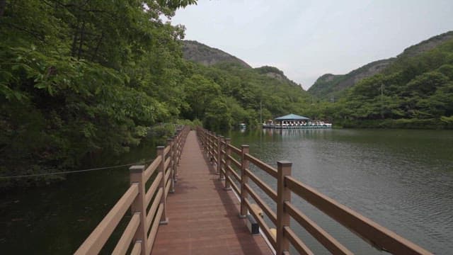 Tranquil Lakeside Walkway in Lush Surroundings
