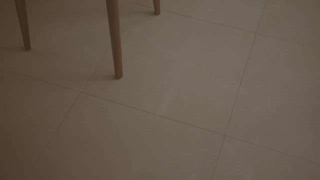 Shadow of the Window on a Tiled Floor