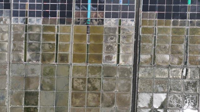 Landscape of Salt Pan in Coastal Village on a Sunny Day