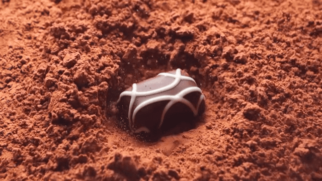 Chocolate falling onto cocoa powder in slow-motion