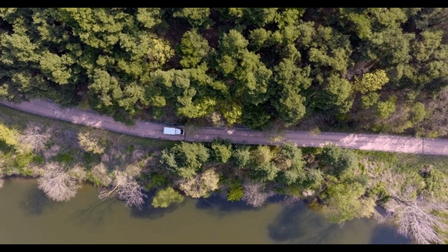 Car driving on the road between the river and the forest