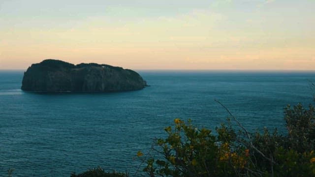 Serene Seascape with Rocky Island at Dusk