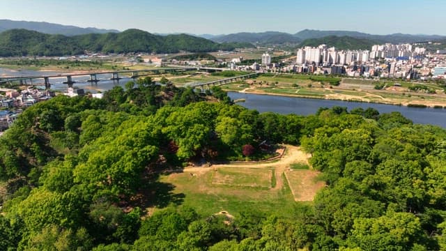 Lush green forest with a city in the background