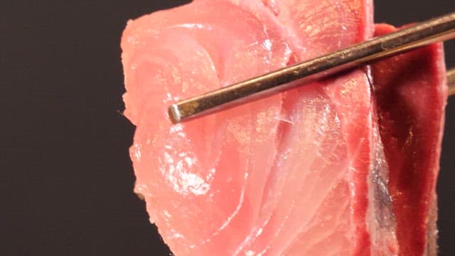 Yellow tail sashimi picked up with chopsticks