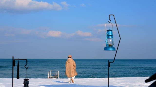 Person in a coat standing on a snowy beach looking at the ocean