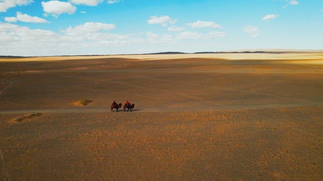 Caravan Journey on Camels Across the Desert