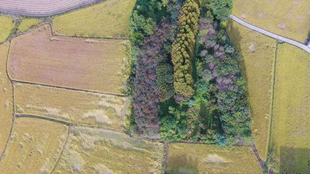View of fields and trees