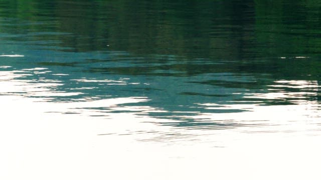 Surface of a calm lake sparkling in the sunlight