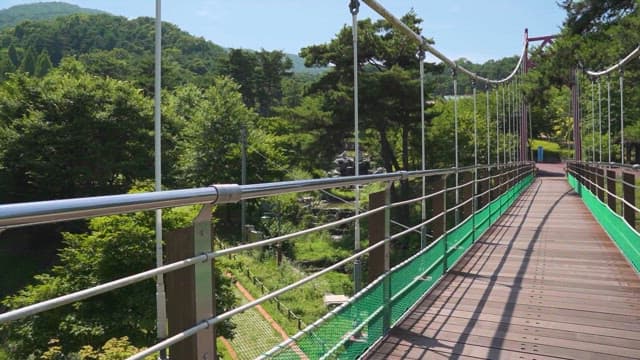 Sunny Day at a Lush Green Suspension Bridge