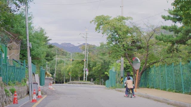 Two people riding a bicycle on a quiet, tree-lined road in the day