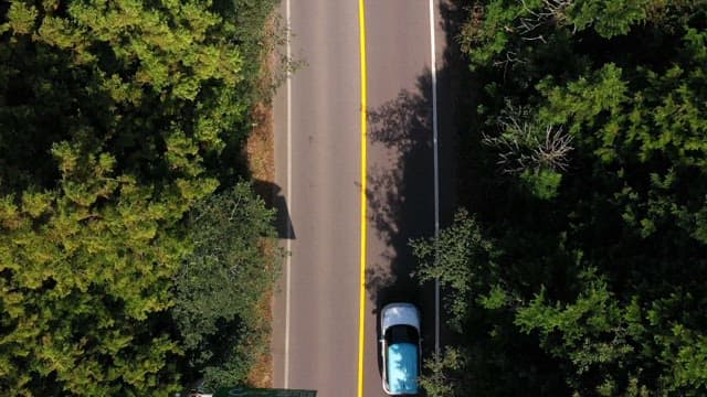 Car traveling on a forest road with lush green trees during the day