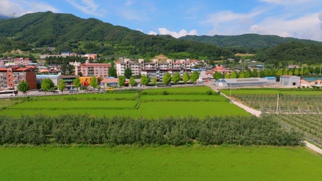 Rural village with green fields and mountains