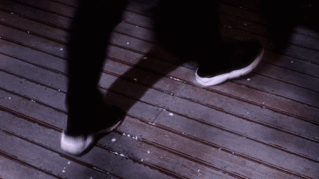 Shadows and petals on a wooden deck