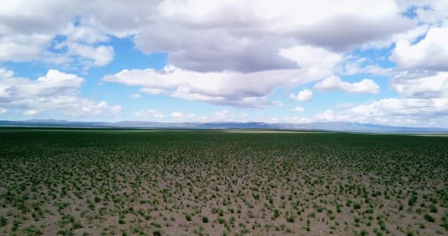 Vast open field under a cloudy sky