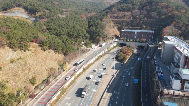 View of a road through a forested area