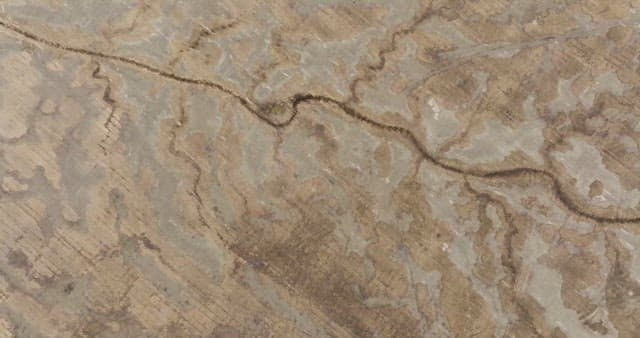 Wasteland with nothing