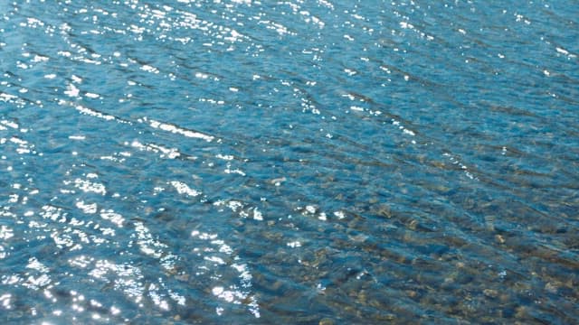 Collecting Water Samples in Natural Setting