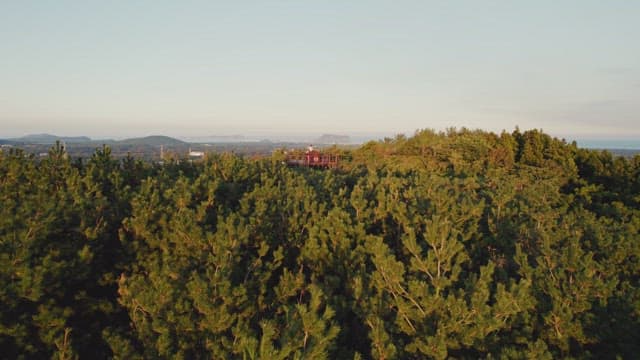 Scenic view of a forest and distant hills