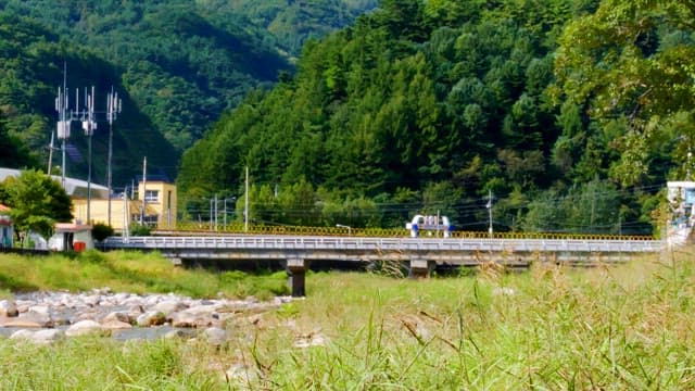 River bridge in a rural area full of green bushes and trees