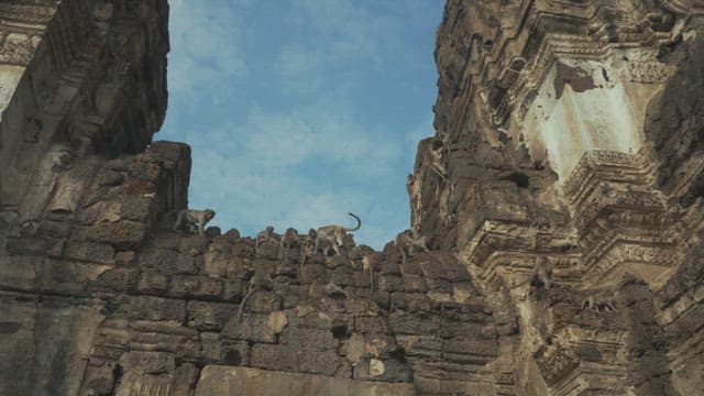 Monkeys Playing on a Stone Structure in Ancient Temple