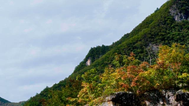 Steep slopes of the mountains covered with green trees and bushes