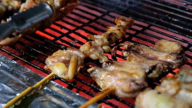 Skewered meat grilling over hot coals