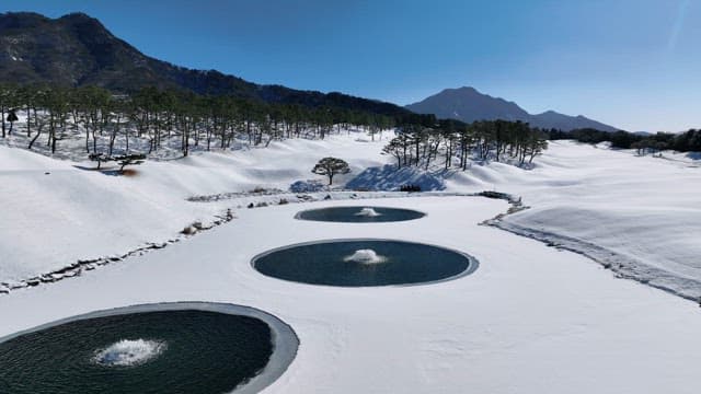 Snow-Covered Landscape with Ponds and Trees