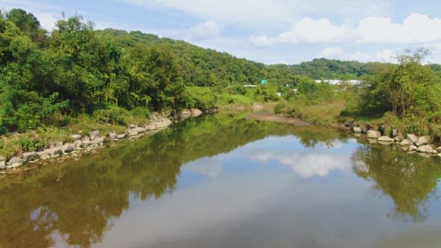 Calm river surrounded by lush greenery
