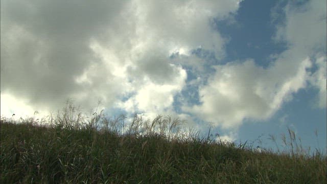 Sky with white clouds drifting over the grassy hills