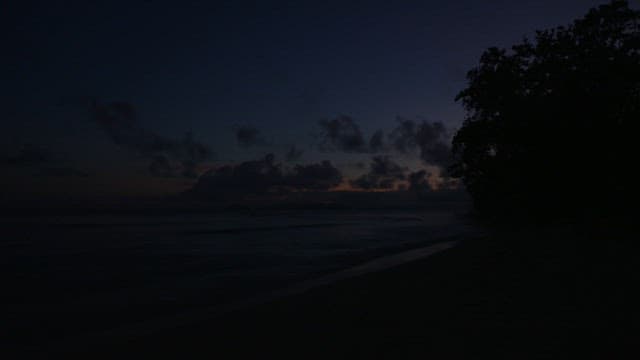 Serene beach with waves at dawn
