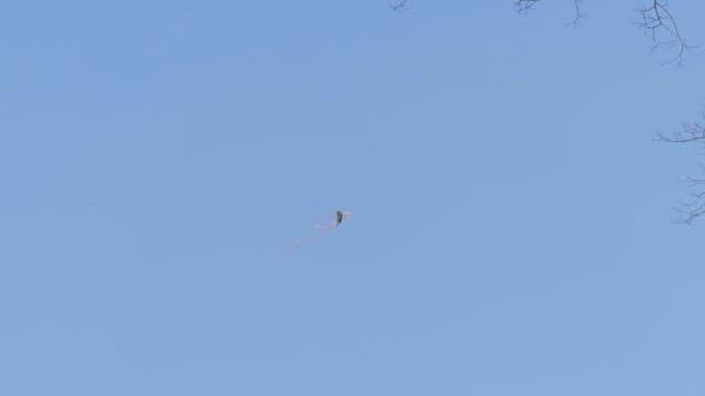 Kite flying high in the clear blue sky