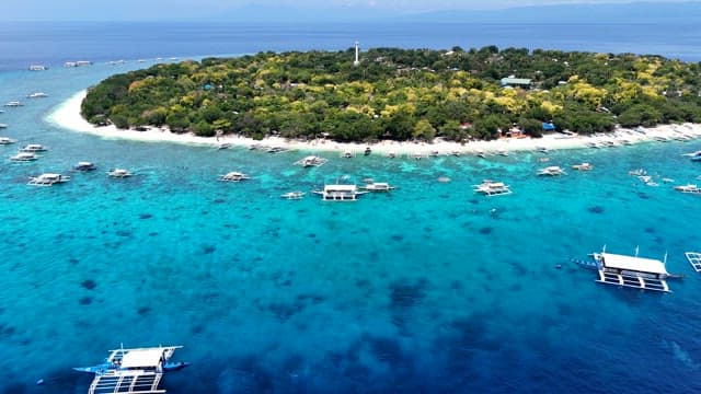 Tropical island surrounded by clear blue sea