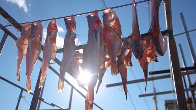 Sunlit Fish Drying on Outdoor Racks