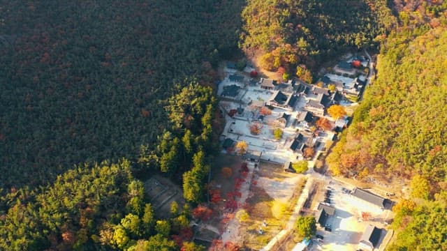 Temple surrounded by maple trees