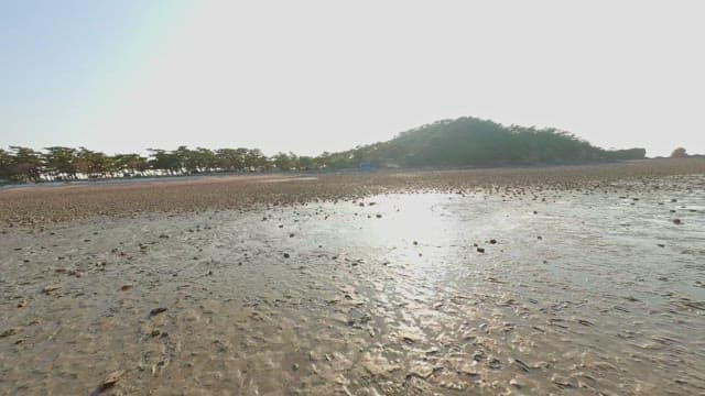 Serene beach with scattered rocks