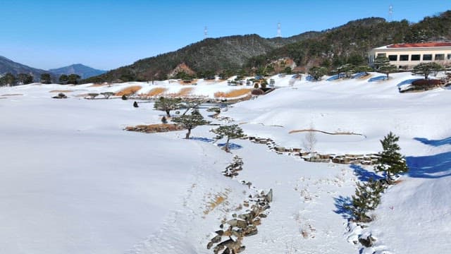 Serene Snow-Covered Landscape with Blue Skies