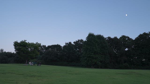 Evening Gathering at a Park with Emerging Moon